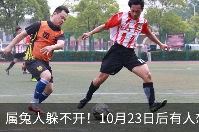 属兔人躲不开！10月23日后有人想砸破你的锅，小心做好准备