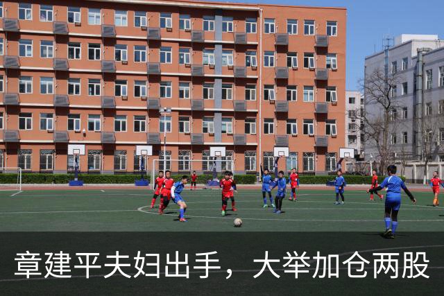 章建平夫妇出手，大举加仓两股
