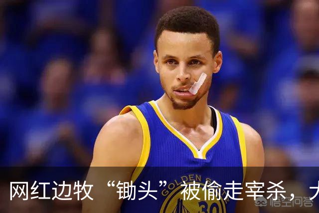 网红边牧“锄头”被偷走宰杀，犬主最新回应：双方已和解，对方赔偿30万元，将全部捐给宠物救助机构
