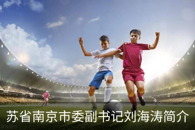 苏省南京市委副书记刘海涛简介