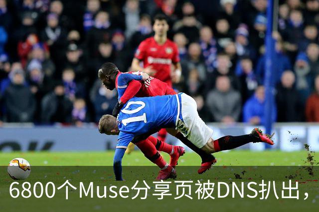 6800个Muse分享页被DNS扒出，Meta紧急暂停