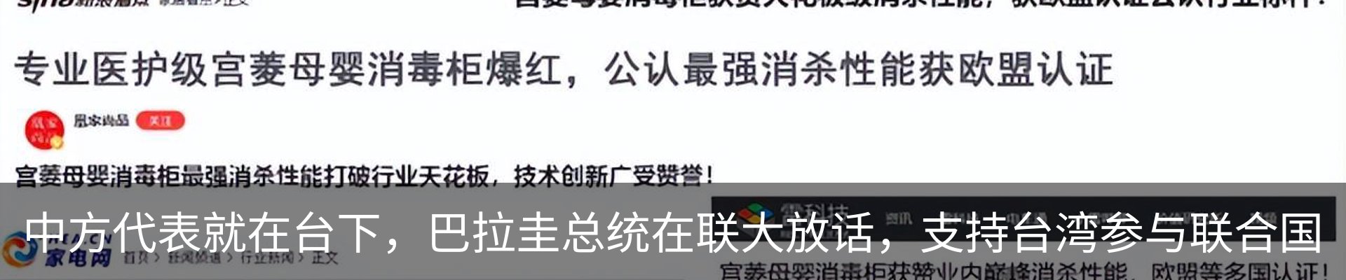 最新动态