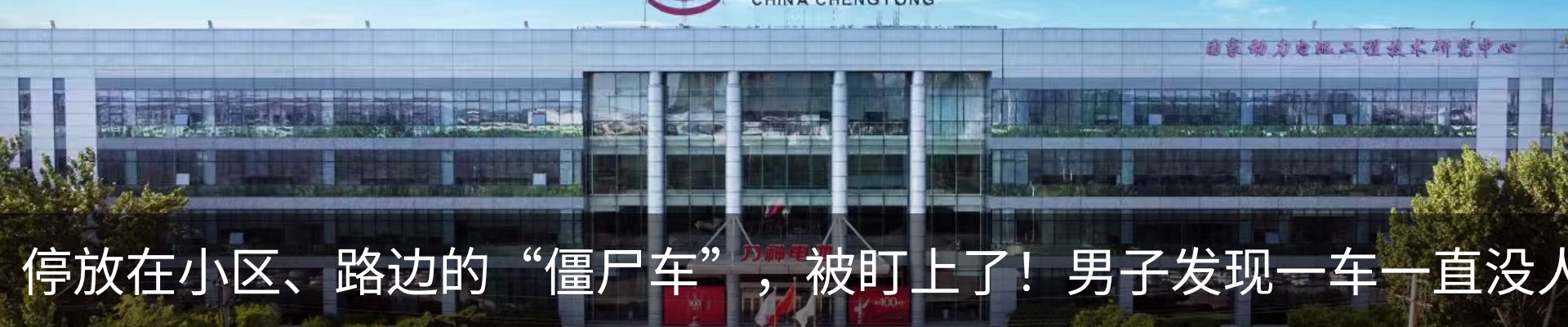 最新动态