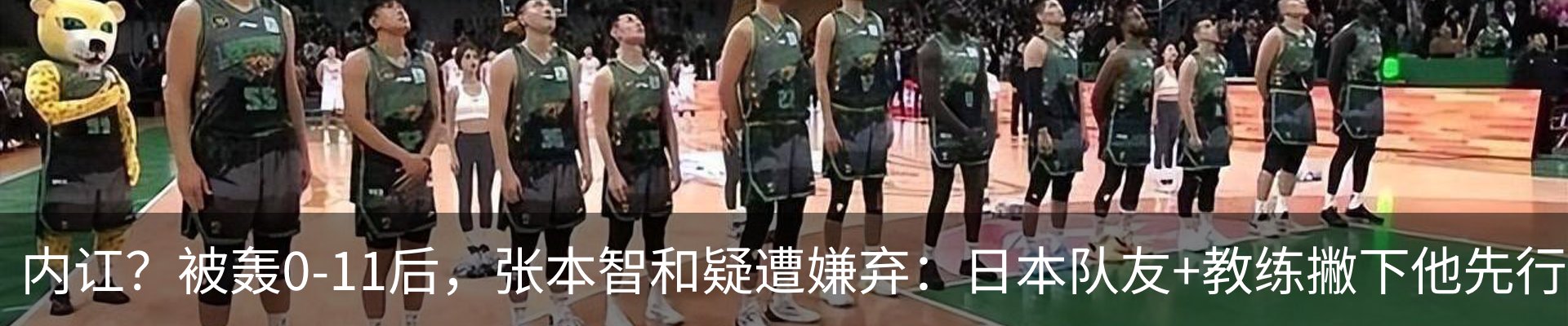 最新动态
