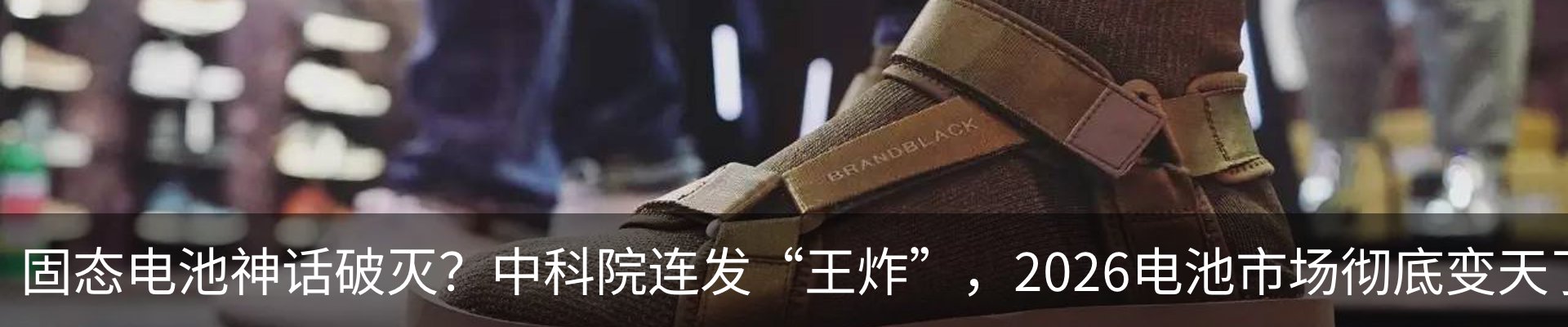 最新动态