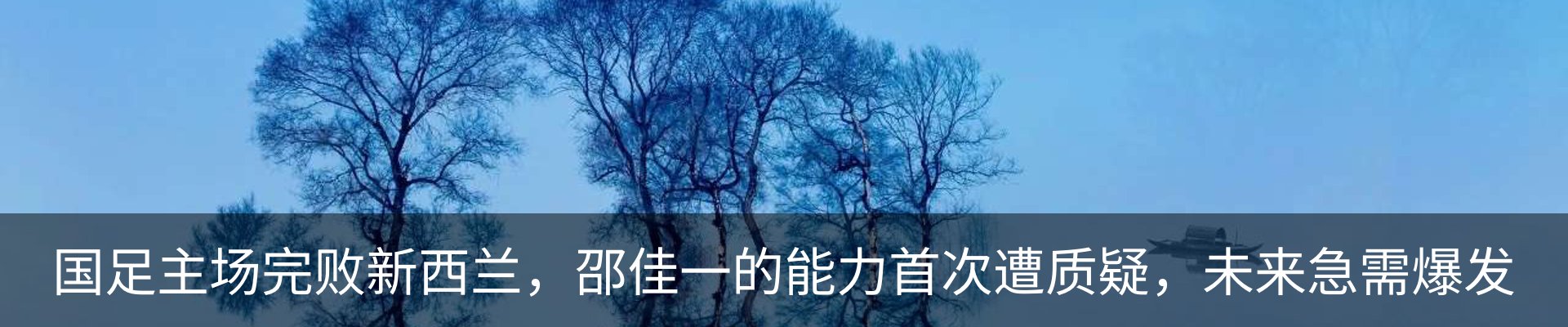 最新动态