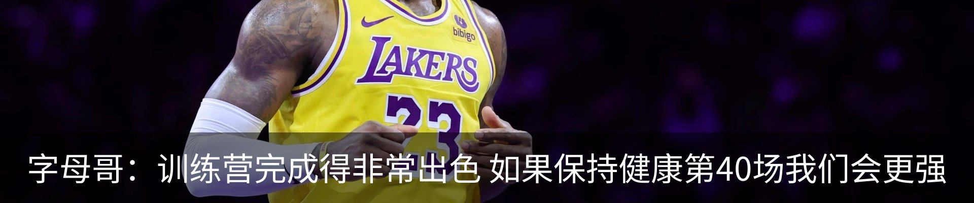 最新动态