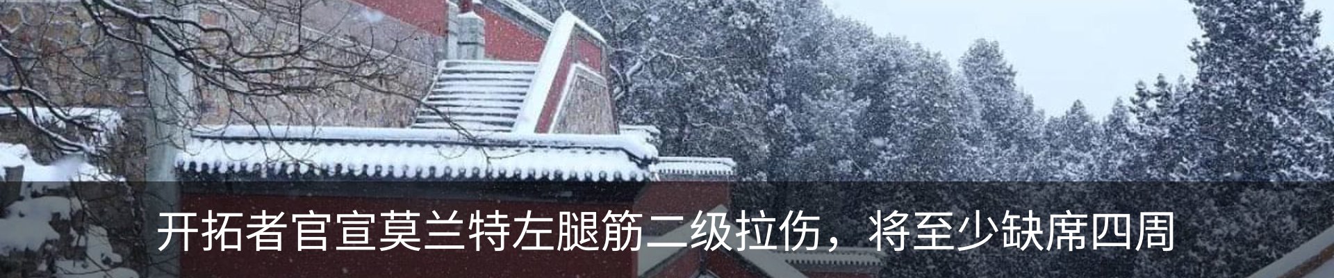 最新动态