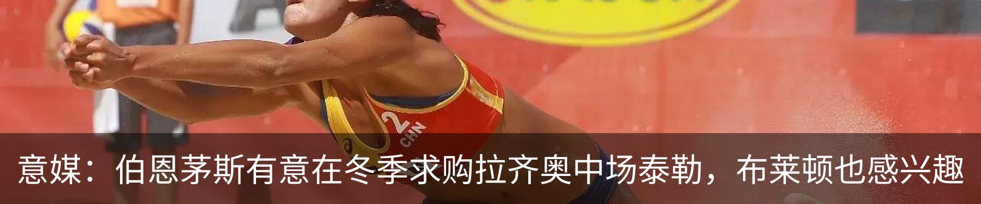 最新动态