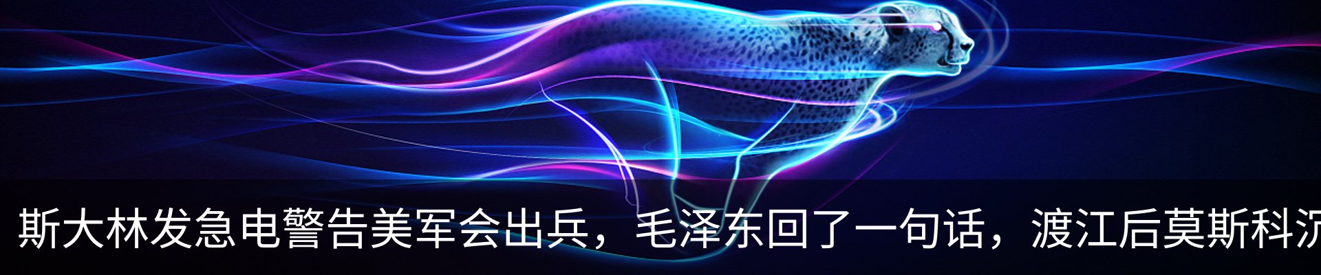 最新动态