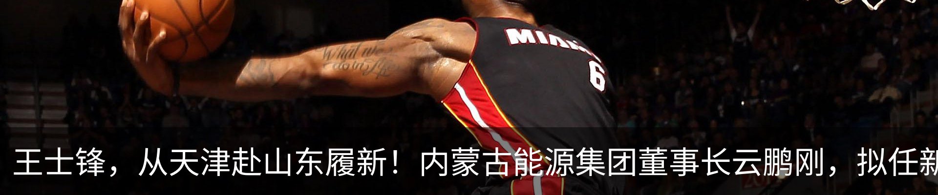 最新动态