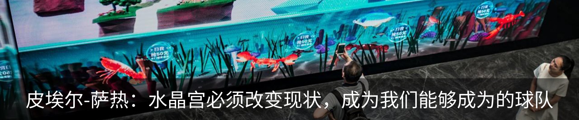 最新动态