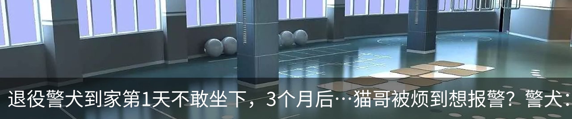 最新动态