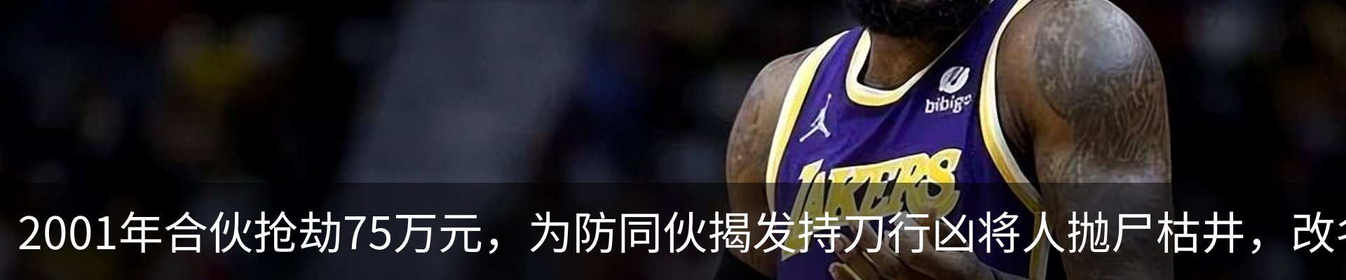 最新动态