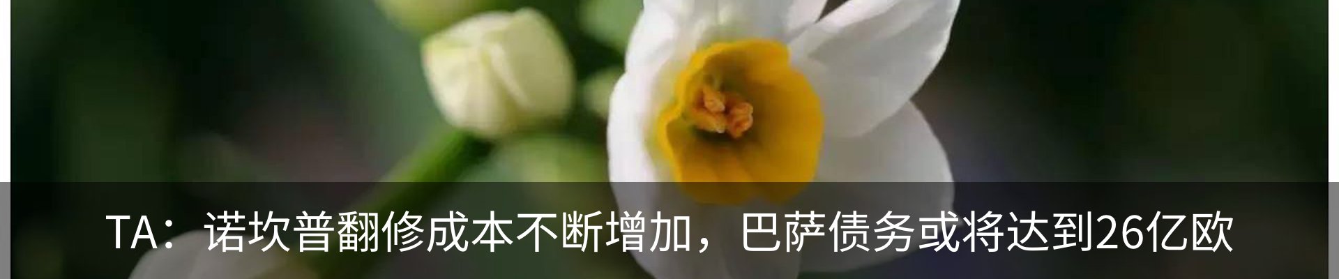 最新动态